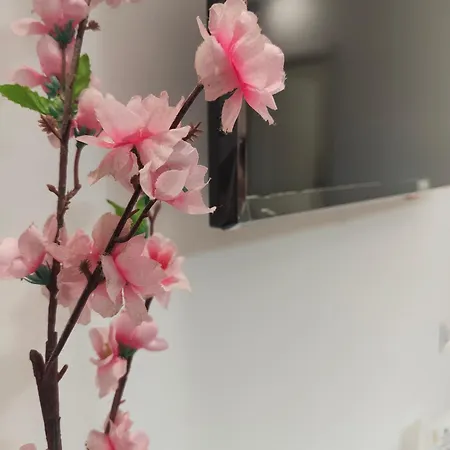 Bed & Breakfast Camelia 3*