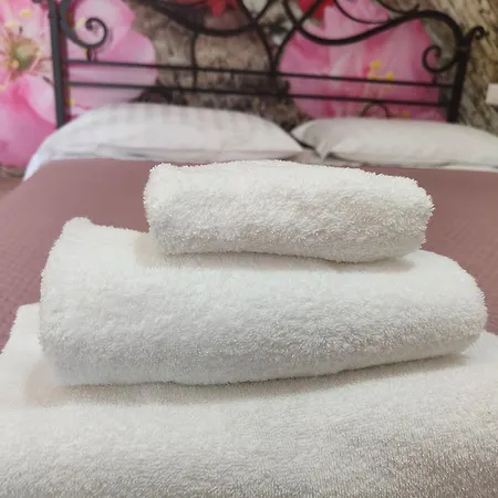 Bed & Breakfast Camelia Vico Equense