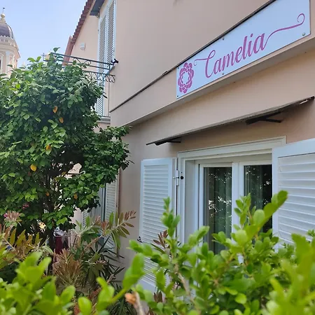 Bed & Breakfast Camelia Vico Equense