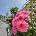 Camelia