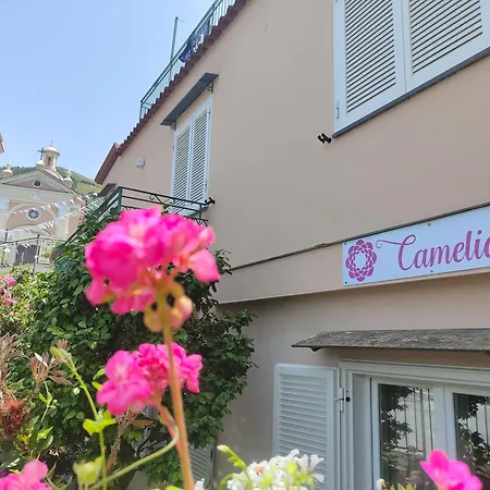 Camelia 3*