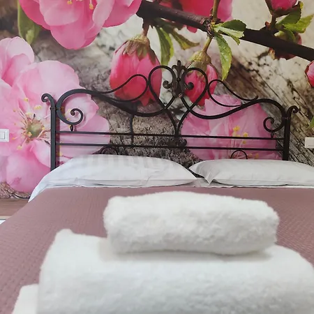 Bed & Breakfast Camelia 3*