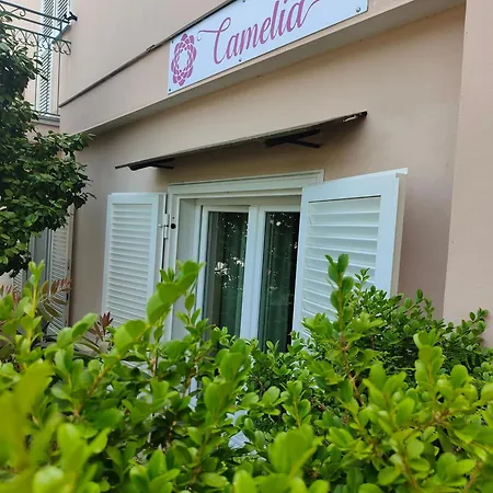 Camelia Oda ve Kahvaltı