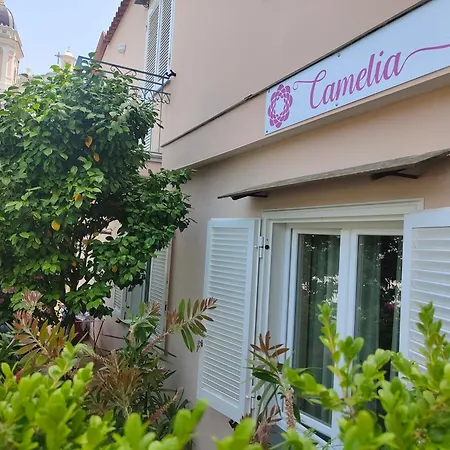 Oda ve Kahvaltı Camelia