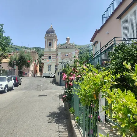 Camelia Oda ve Kahvaltı